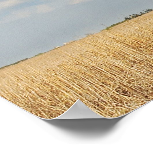 オリーブ ポスター (角)