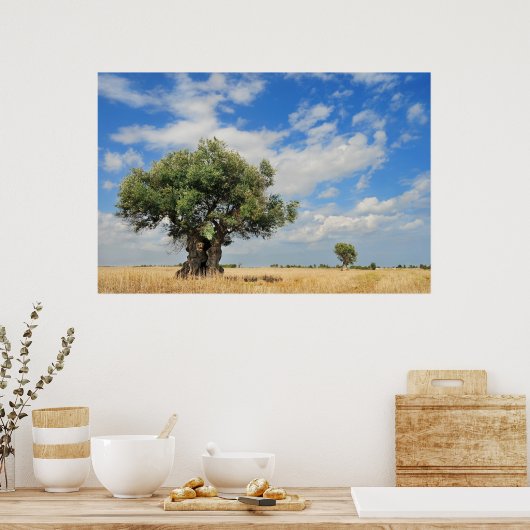 オリーブ ポスター (キッチン)