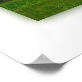 オリーブ ポスター (角)