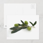 オリーブ ポストカード (正面/裏面)