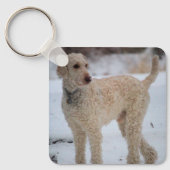 オリー キーホルダー (正面)