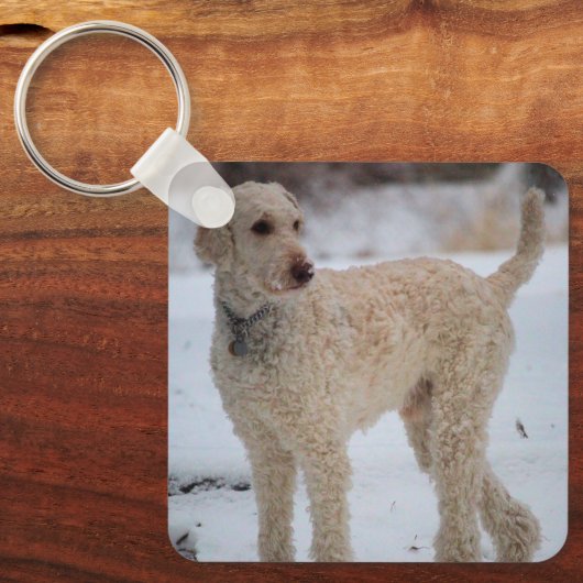 オリー キーホルダー (正面)