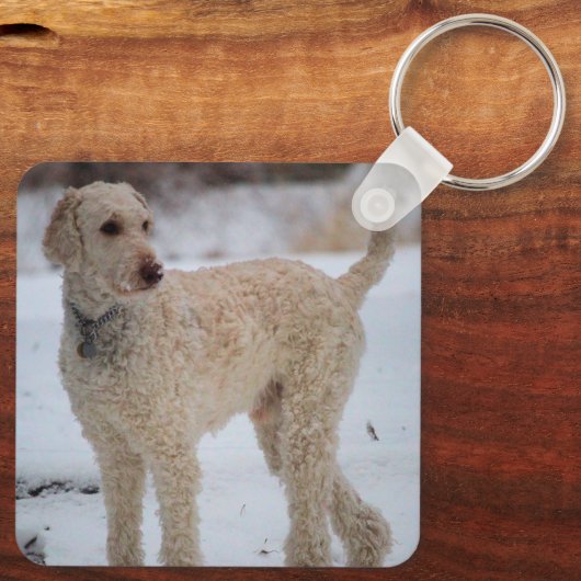 オリー キーホルダー (裏面)