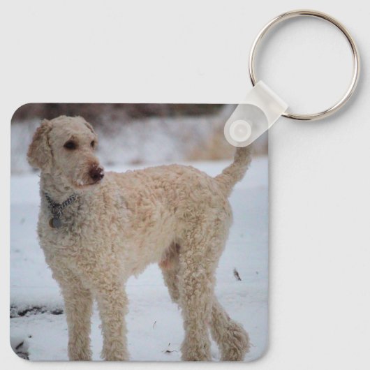 オリー キーホルダー (裏面)