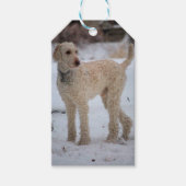 オリー ギフトタグ (正面)