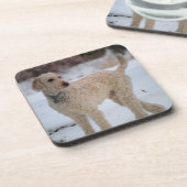 オリー コースター (左側)