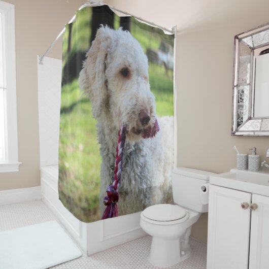 オリー シャワーカーテン (インサイチュ)