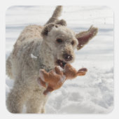 オリー スクエアシール (正面)