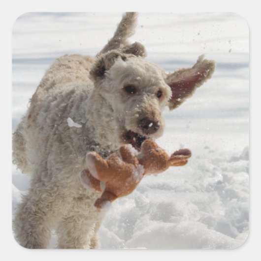 オリー スクエアシール (正面)