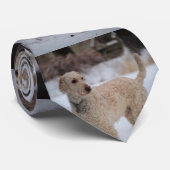 オリー ネクタイ (ロール)