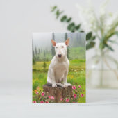 「オリー」 ポストカード (スタンド正面)