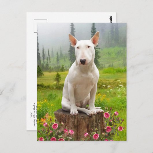 「オリー」 ポストカード (正面/裏面)