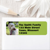 オリー ラベル (インサイチュ)