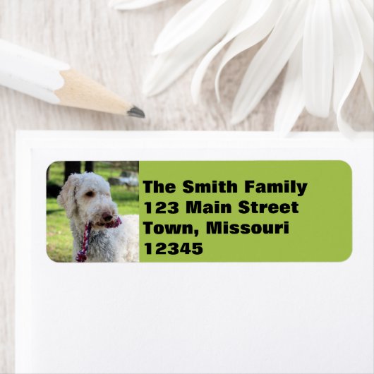 オリー ラベル (インサイチュ)