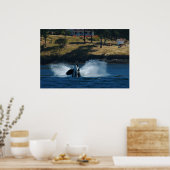 オルカインザサンフアン諸島 ポスター (キッチン)