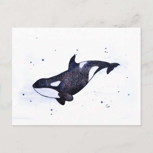 オルカキラークジライラストレーション ポストカード (正面)