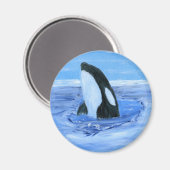 オルカキラー鯨 マグネット (正面/裏面)