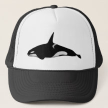 オルカクジラ