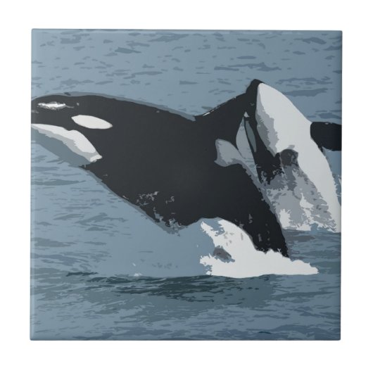 オルカクジラ タイル (正面)