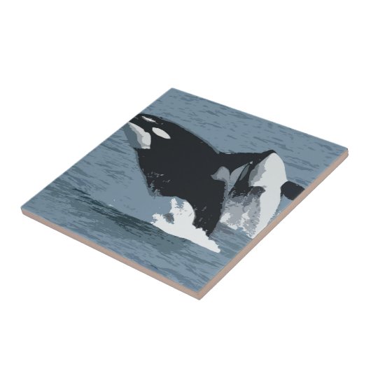 オルカクジラ タイル (側面)