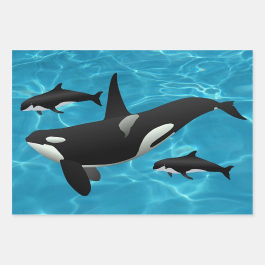 オルカクジラ ラッピングペーパーシート (正面)