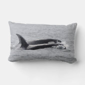 オルカクジラ！正面&後部!クッション ランバークッション (裏面)