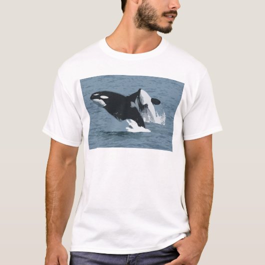 オルカクジラ Tシャツ (正面)