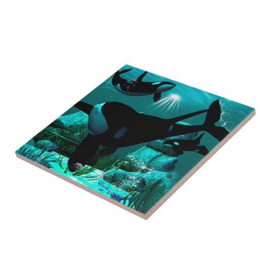 オルカス タイル (側面)