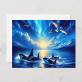 オルカス ポストカード (正面/裏面)