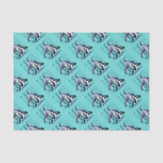 オルカマップティール（緑がかった色） 薄葉紙 (正面)