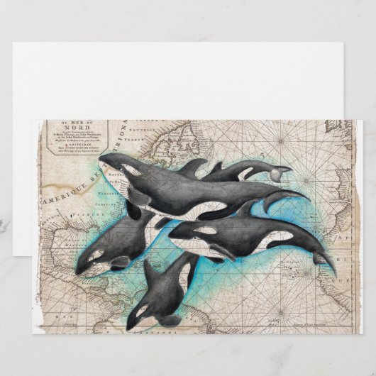 オルカ地図アトラス 便箋 (正面/裏面)