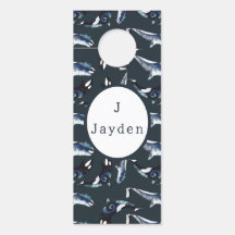 オルカ男の赤ちゃんティール（緑がかった色）