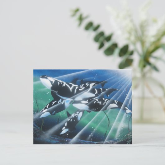 オルカ葉書 ポストカード (スタンド正面)