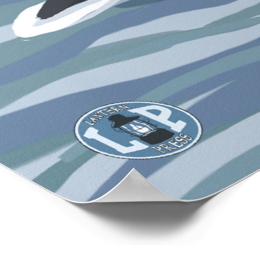 オルカ鯨#1 – アラスカ湾 ポスター (角)