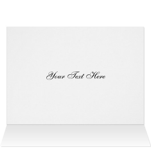 オルカ (内部横(上))