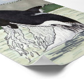 オルカ/キラークジラ5 x 7 ポスター (角)