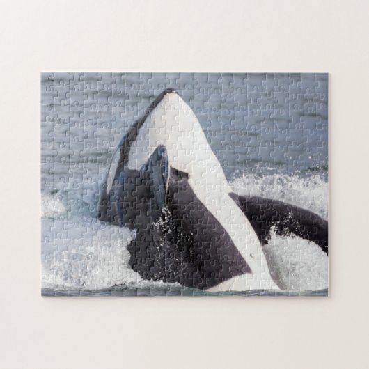 オルカ・クジラの浸食 ジグソーパズル (横)