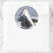 オルカ・クジラの浸食 ラウンドシール (バッグ)