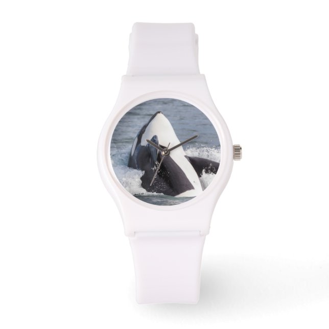 オルカ・クジラの浸食 腕時計 (正面)