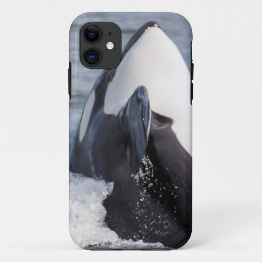 オルカ・クジラの浸食 Case-Mate iPhoneケース (裏面)