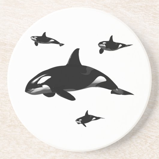 オルカ コースター (正面)