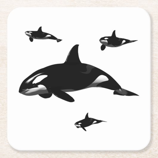 オルカ スクエアペーパーコースター (正面)