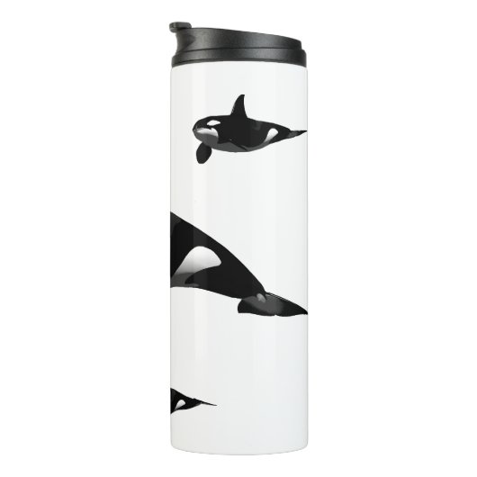 オルカ タンブラー (回転右)