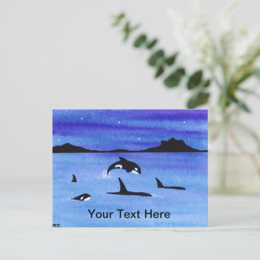 オルカ ポストカード (スタンド正面)