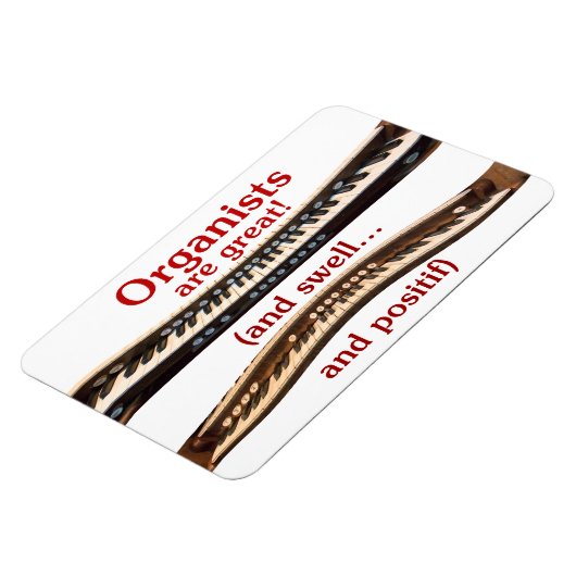 オルガニストはフレキ素晴らしシブル磁石である マグネット (左側)