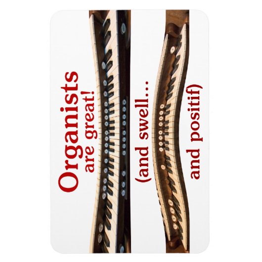 オルガニストはフレキ素晴らしシブル磁石である マグネット (縦)