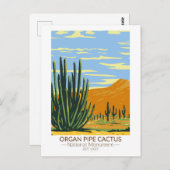 オルガンパイプサボテン国立記念碑アリゾナ ポストカード (正面/裏面)
