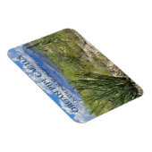 オルガンパイプサボテン、オコティロ低木、アホ山脈 マグネット (右側)