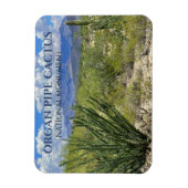 オルガンパイプサボテン、オコティロ低木、アホ山脈 マグネット (縦)