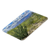 オルガンパイプサボテン、オコティロ低木、アホ山脈 マグネット (左側)